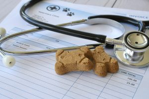 Fattura veterinaria con stetoscopio e dolcetti per cani. Concetto di costo medico per animali domestici.