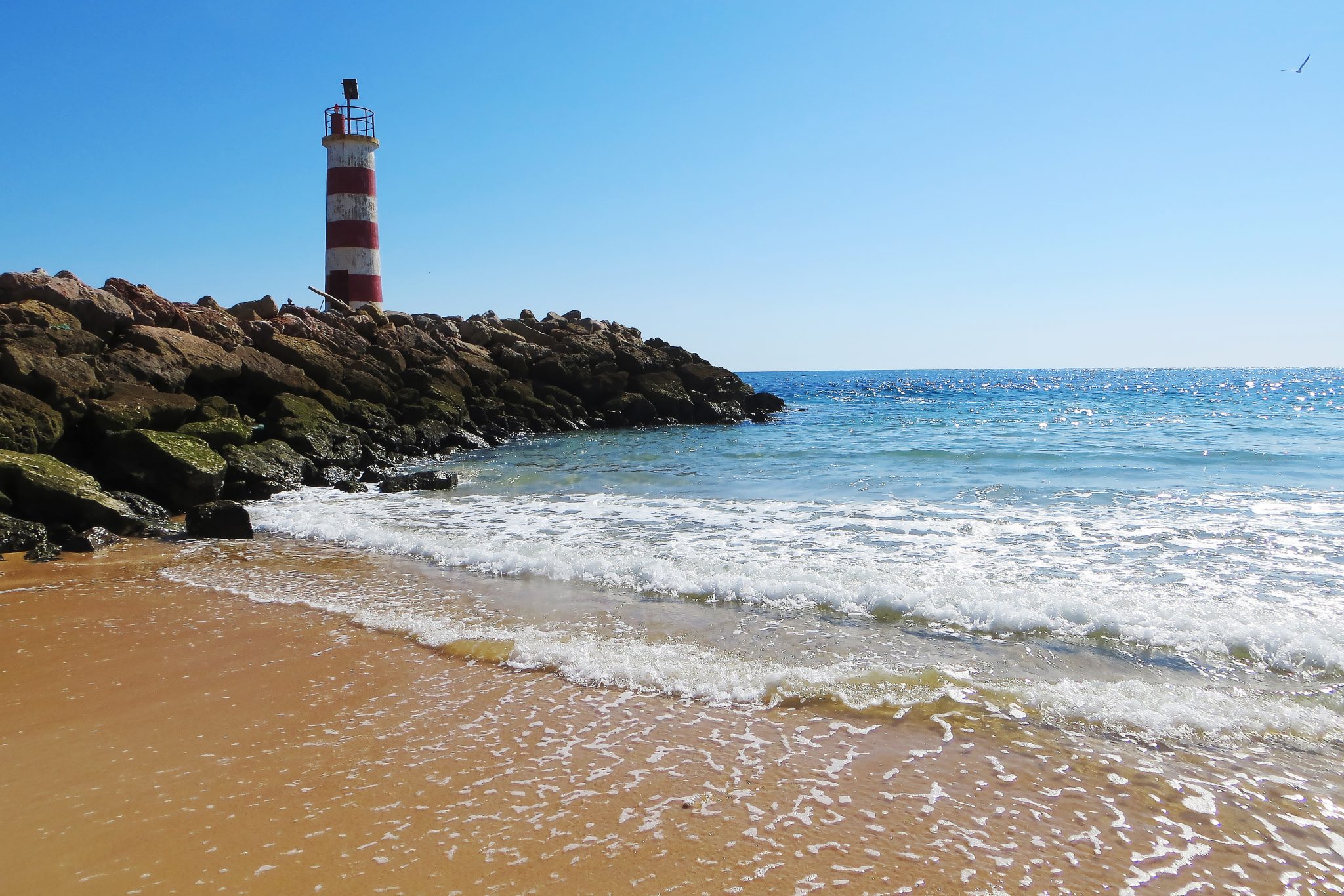 Faro Portugal weather Portugal news