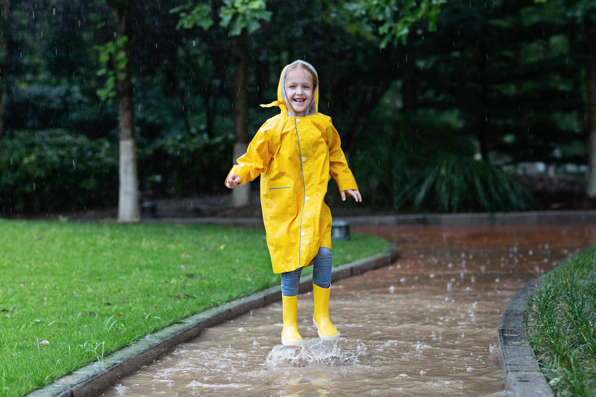 rain