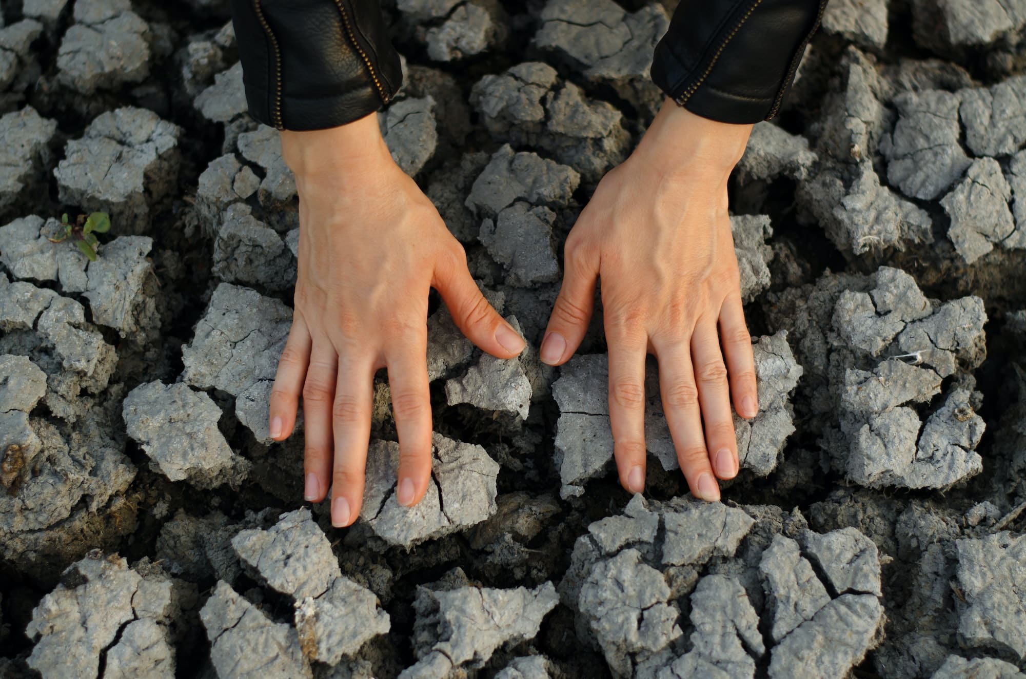 Women's hands touch the dried cracked earth. The concept of drought and lack of water on Earth