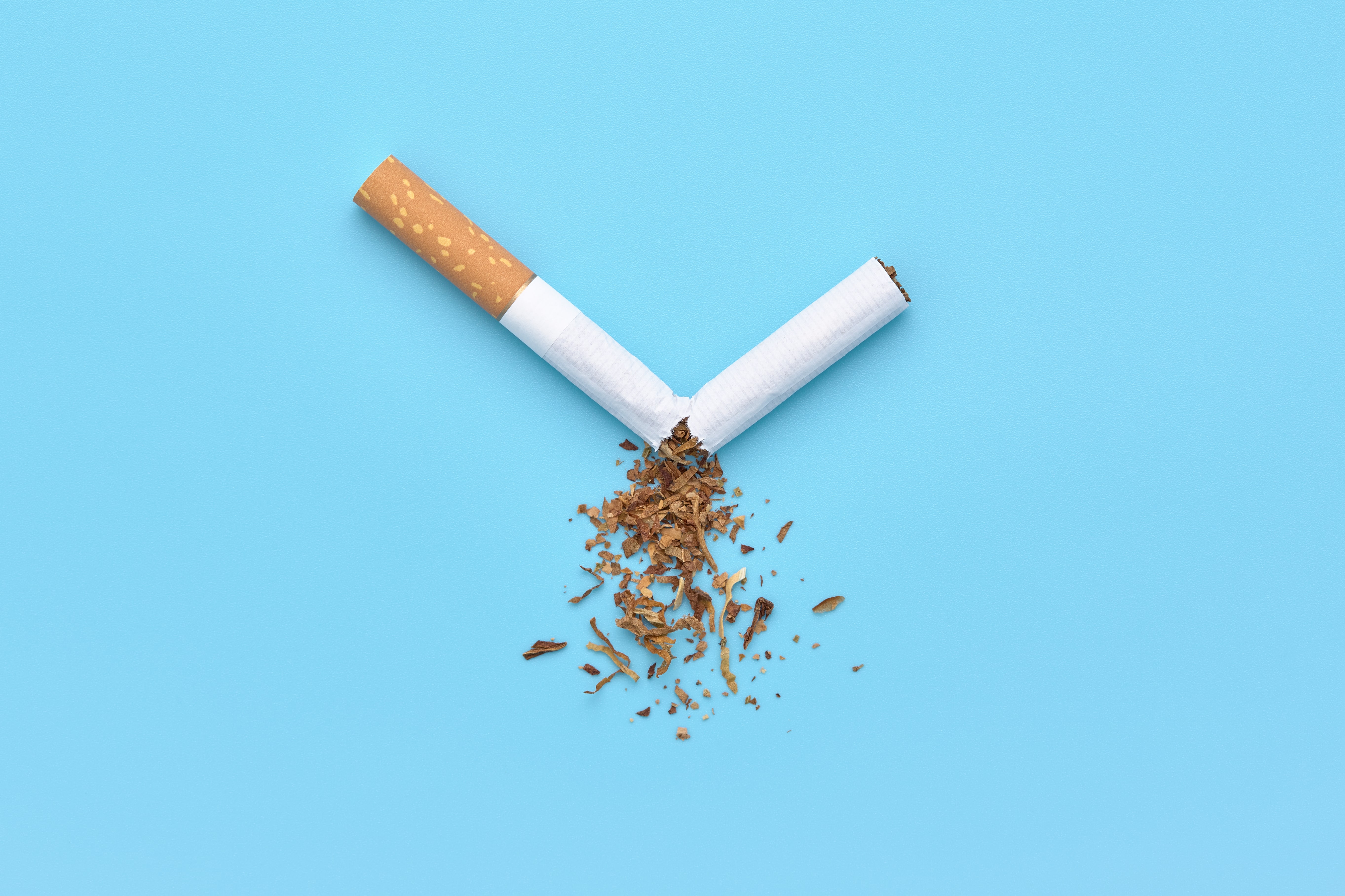 A Broken Cigarette with Scattered Tobacco, No Tobacco Day.