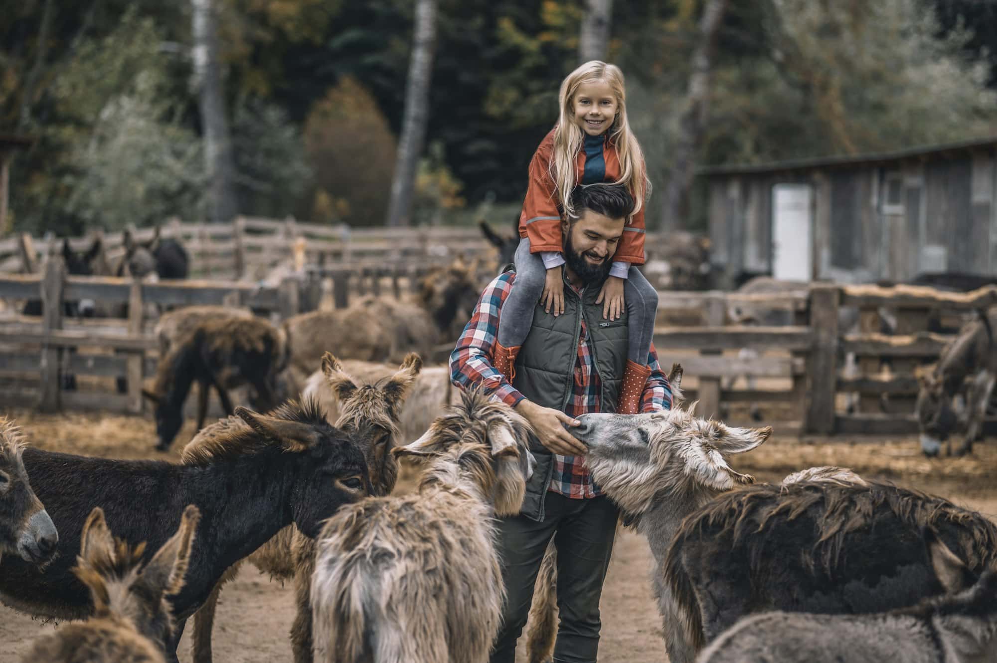 Farmer and his kid spending time with animals in the cattle-pen