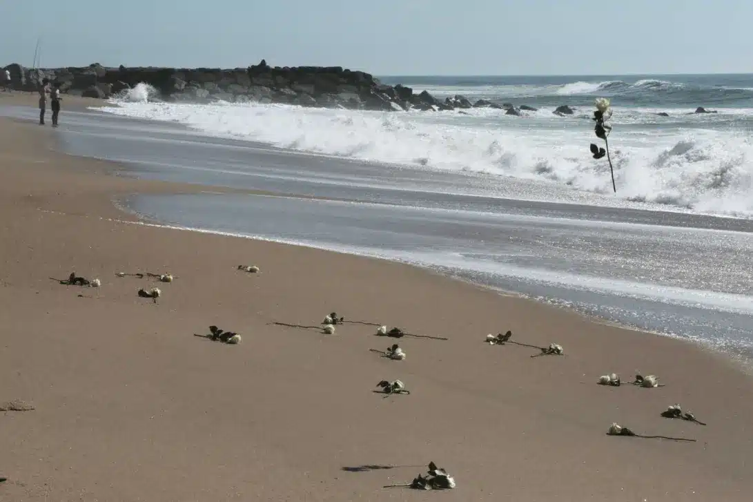 Friends threw white roses into the sea this Saturday
