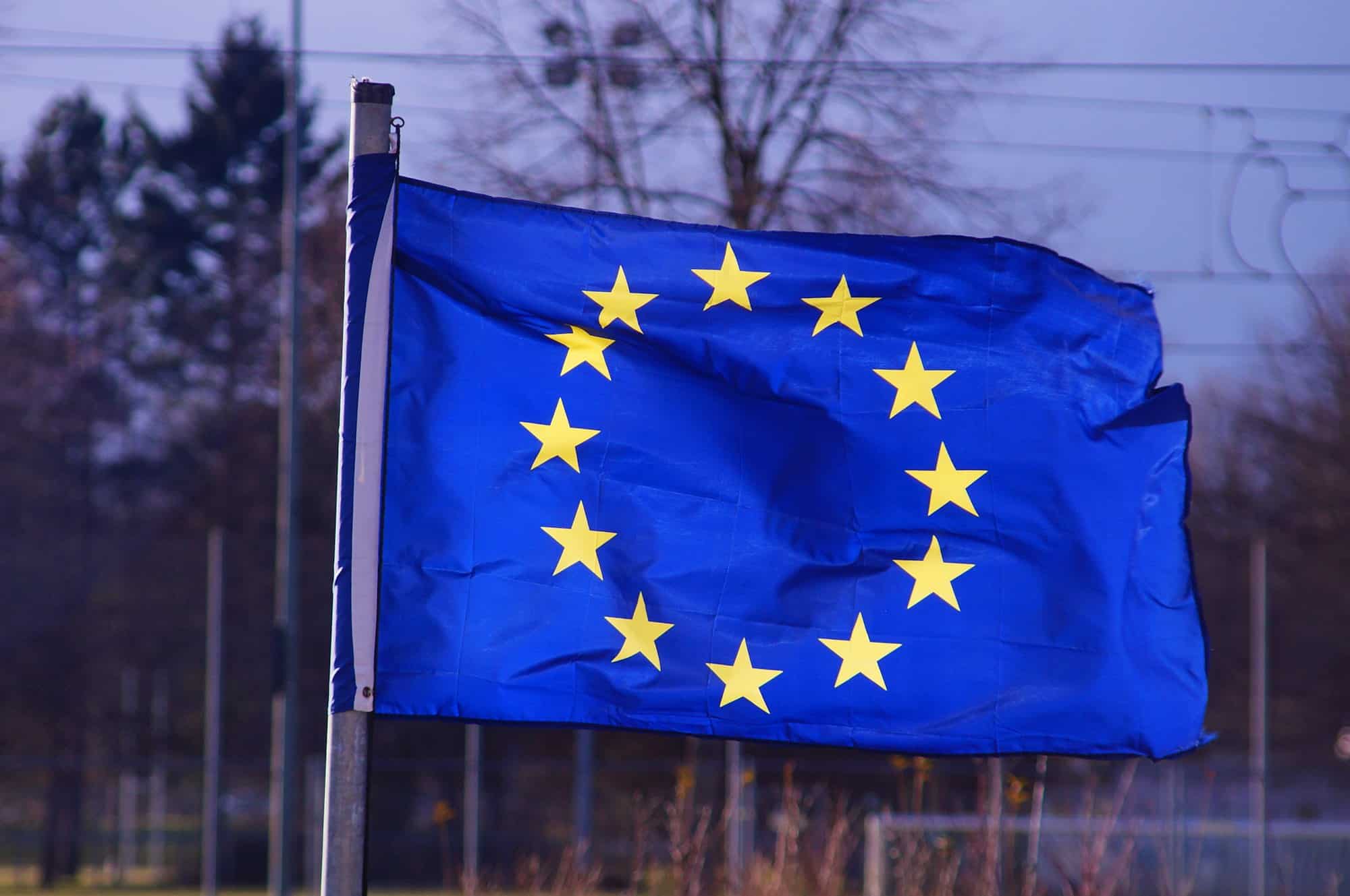 A winter mute unfolds the European flag