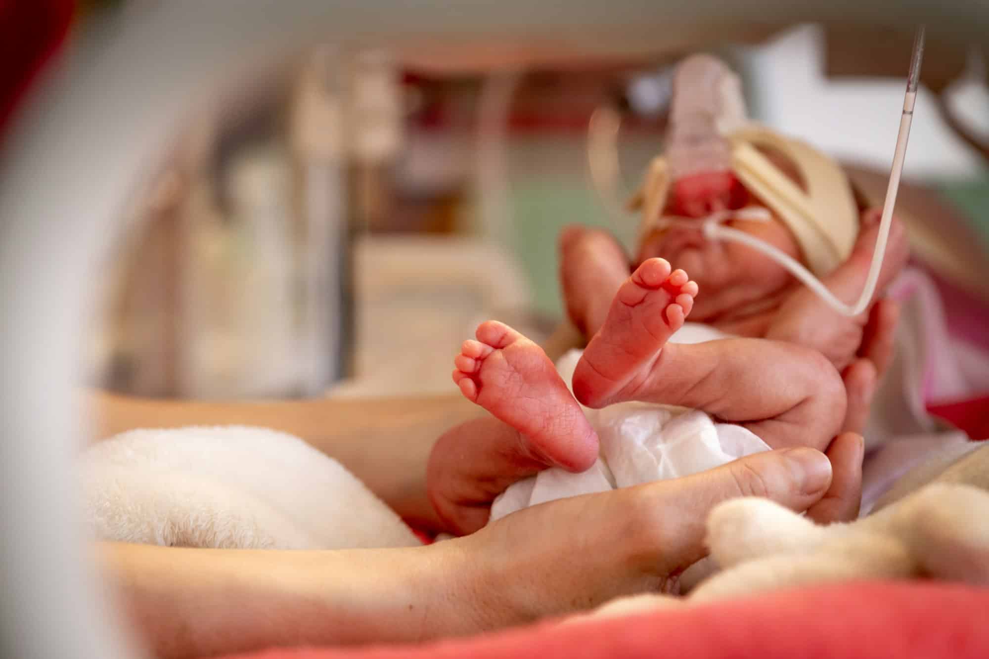 Closeup of a hand of a premature newborn baby in incubator