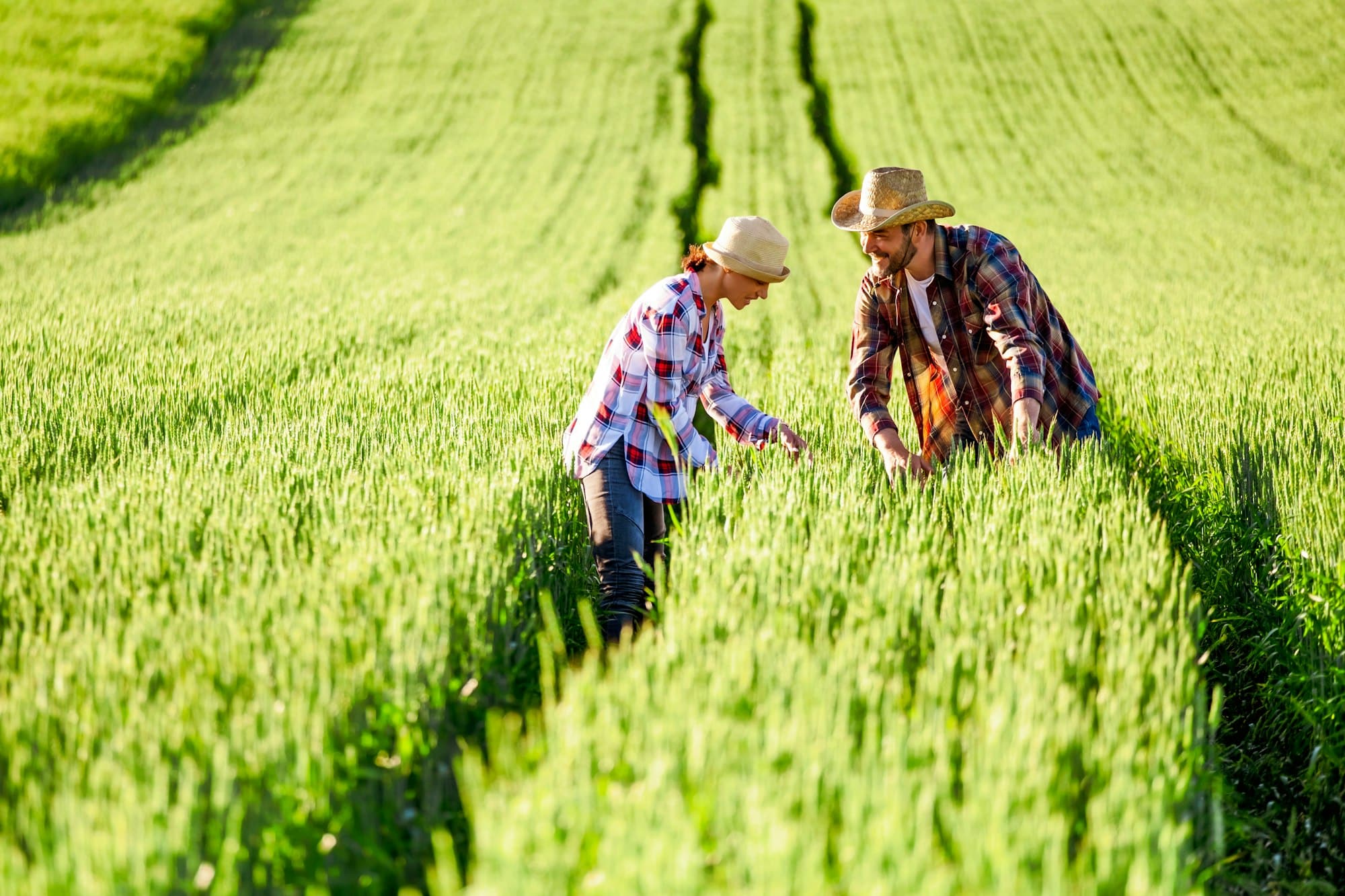 Agriculture