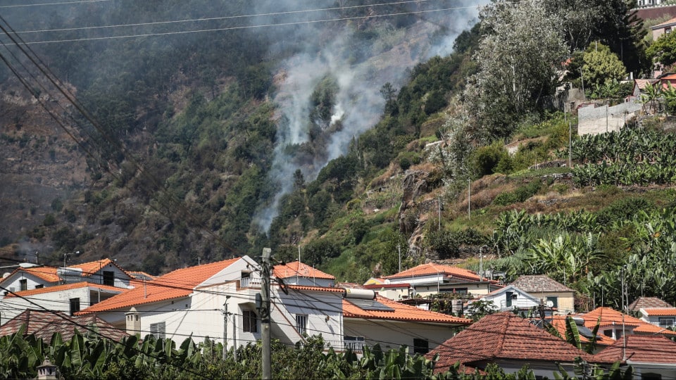 Madeira. About 200 farmers and 41 cattle producers with losses