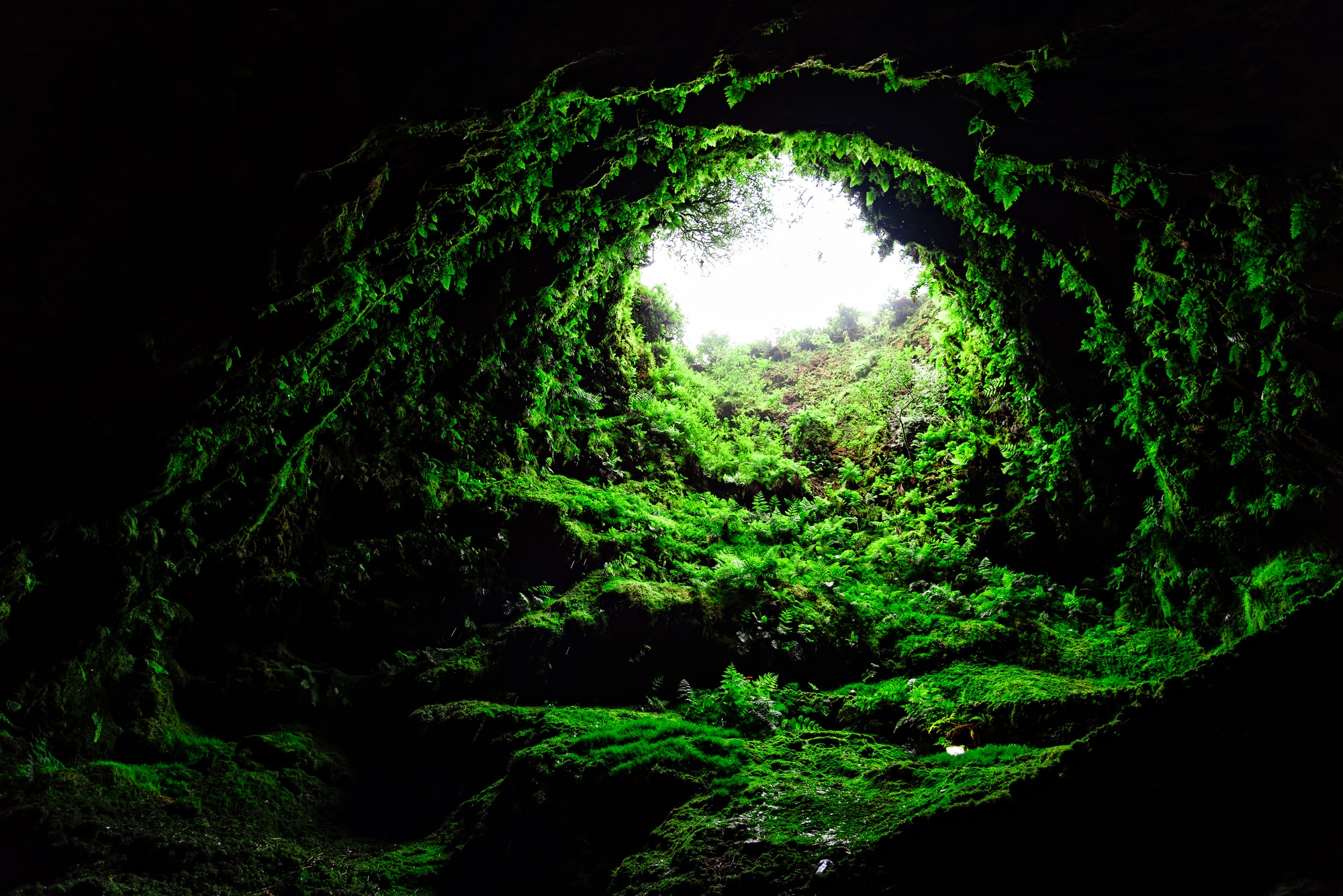 Algar do Carvao, an ancient lava tube in Terceira Island