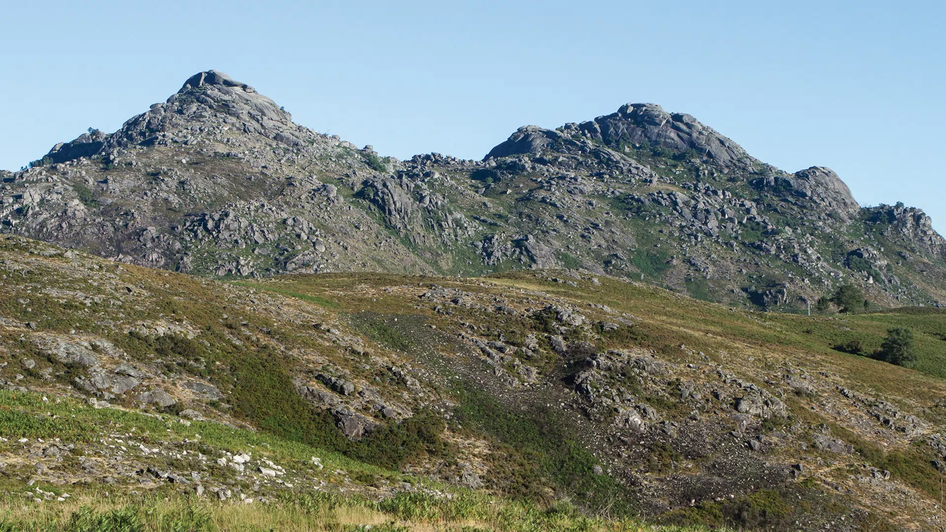 calcedonia-pr1