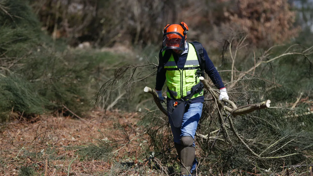Forest owners request an extension of the deadline for land cleaning.