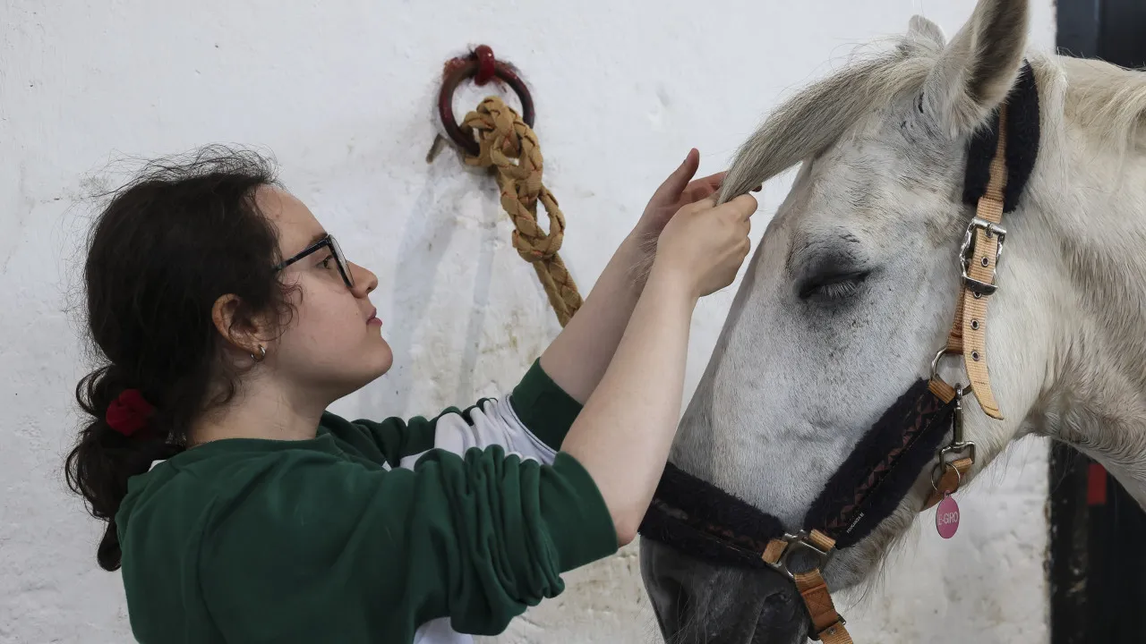 Horses help Polytechnic of Coimbra students manage stress