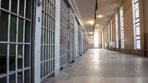 Mother assaulted minor children "in a cruel and almost barbaric manner" in the Azores