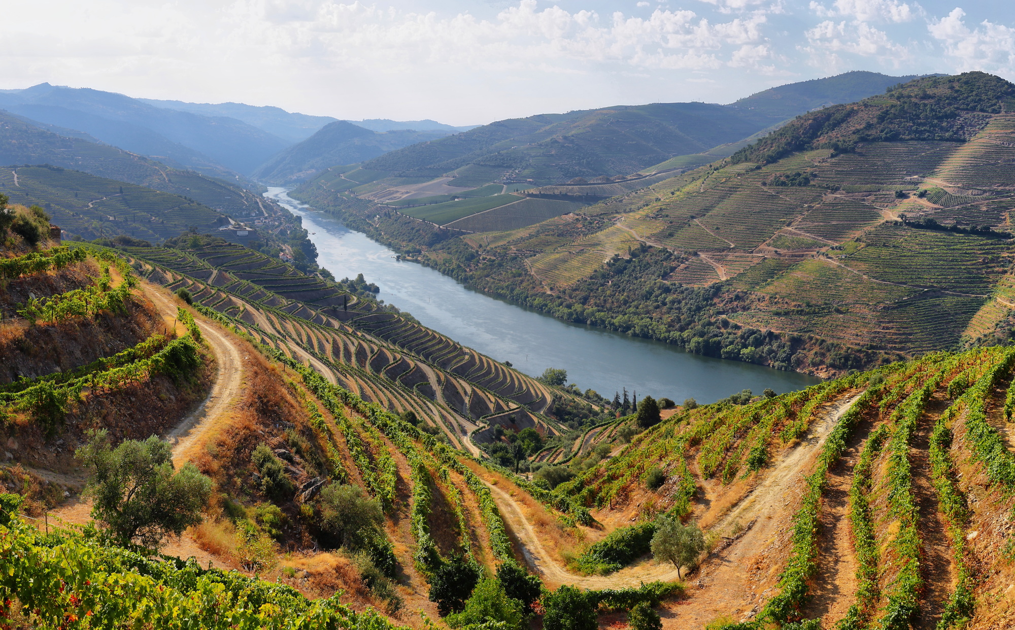 Scenic view of Alto Douro Vinhateiro, Portugal