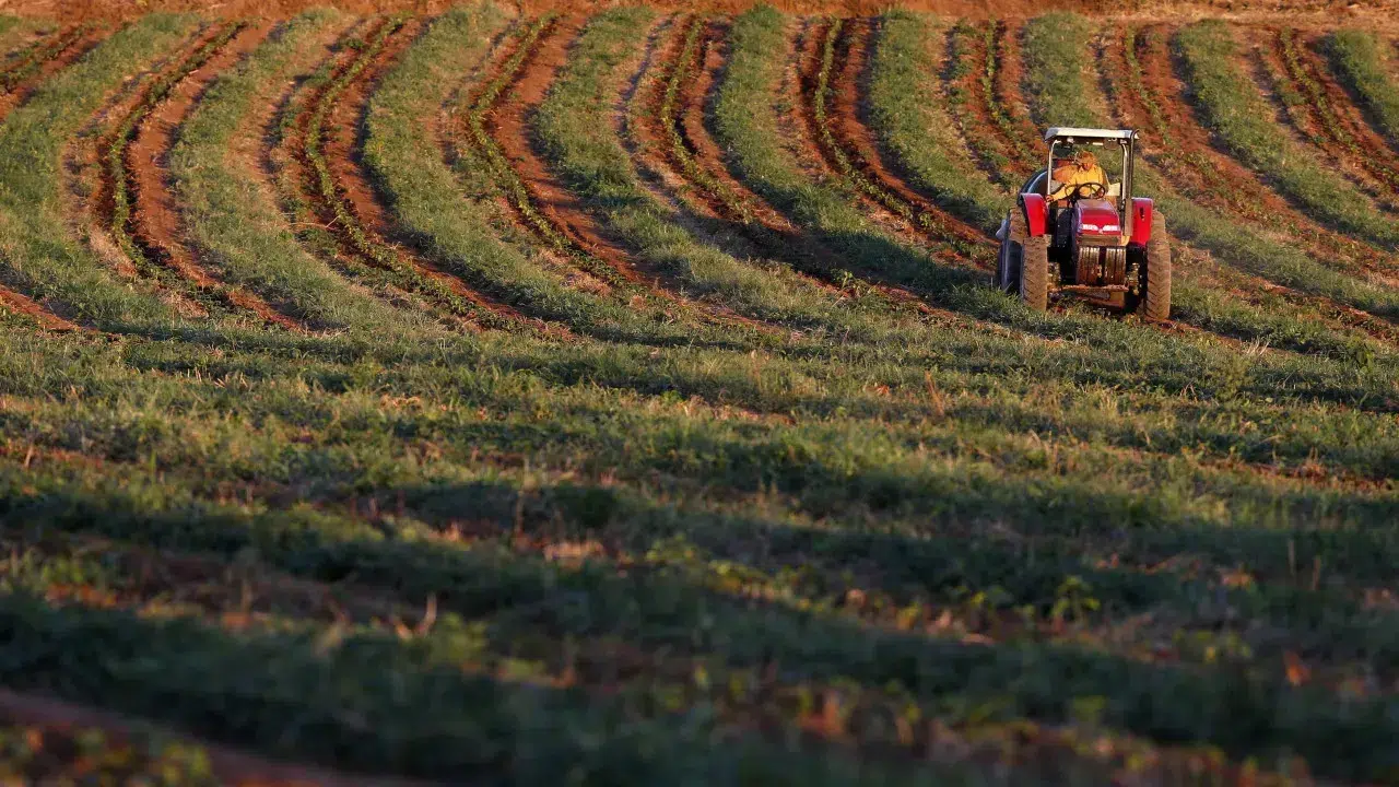 79-year-old man dies in tractor accident in Águeda