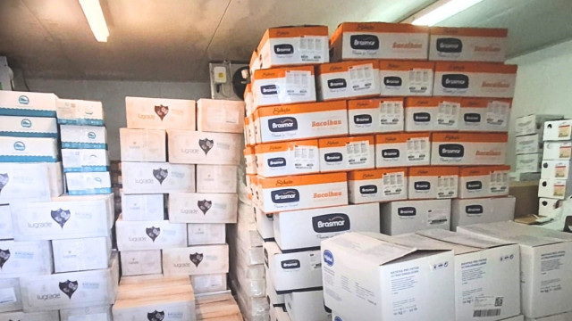 ASAE closes illegal warehouse and seizes over 17 tons of food