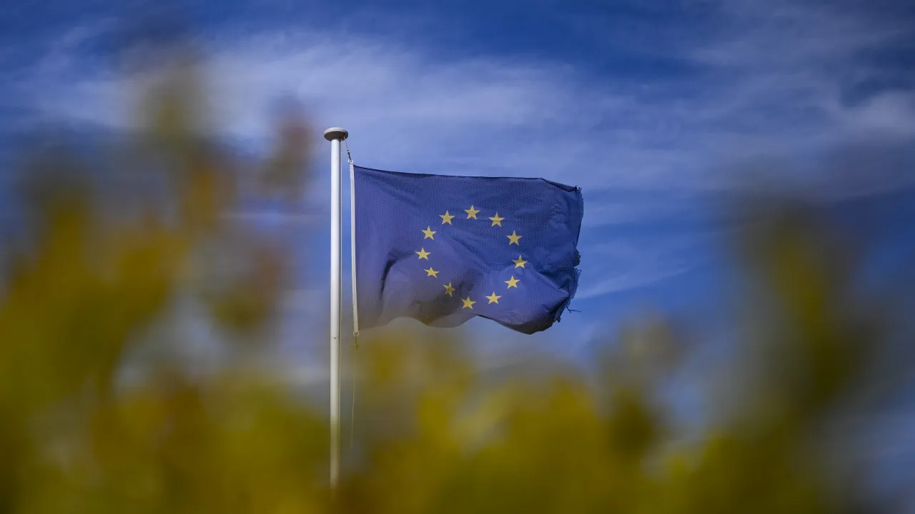 EU auditor advocates a simpler budget and common debt with rules