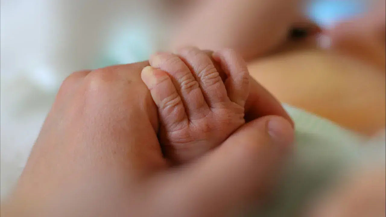 Executive considers shared parental leave with alternative caregiver