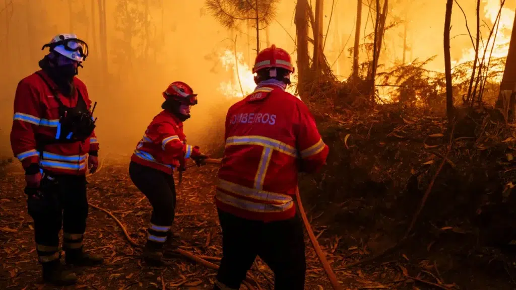 Fire in Aljustrel has 2 active fronts and has reached "large dimensions"