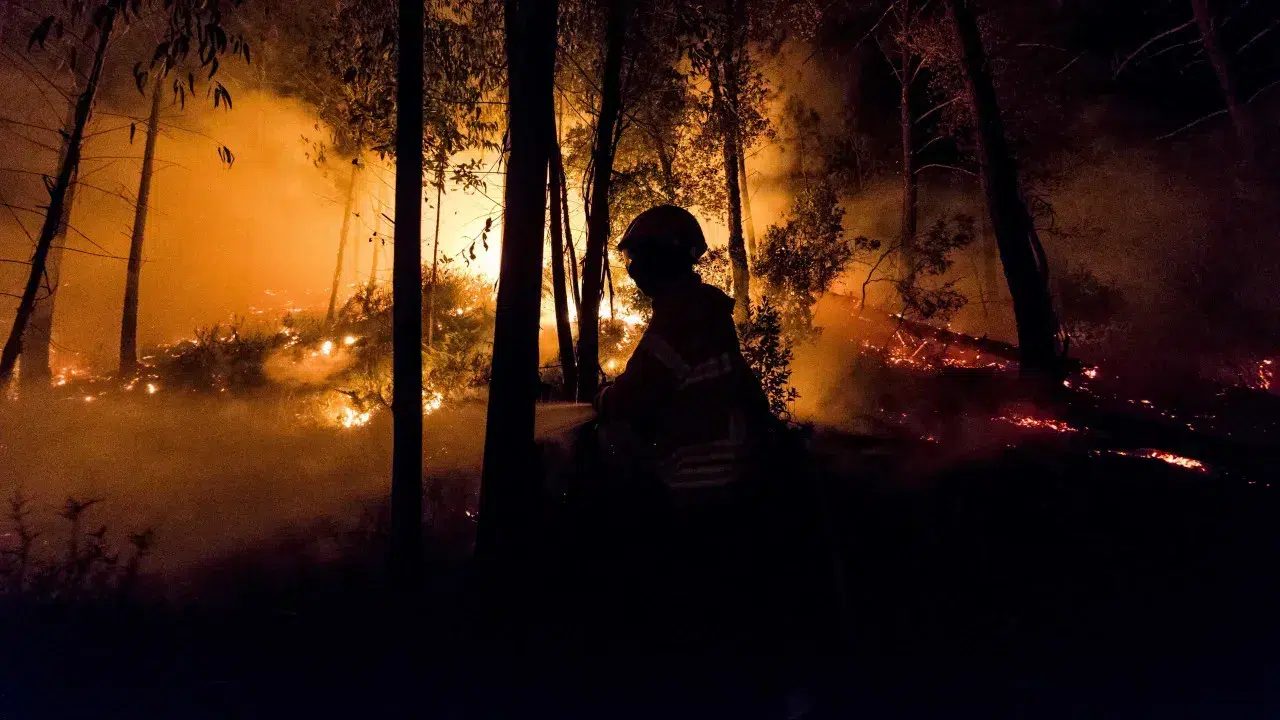 Fires 2017. Revita Fund will cover outstanding expenses for three houses
