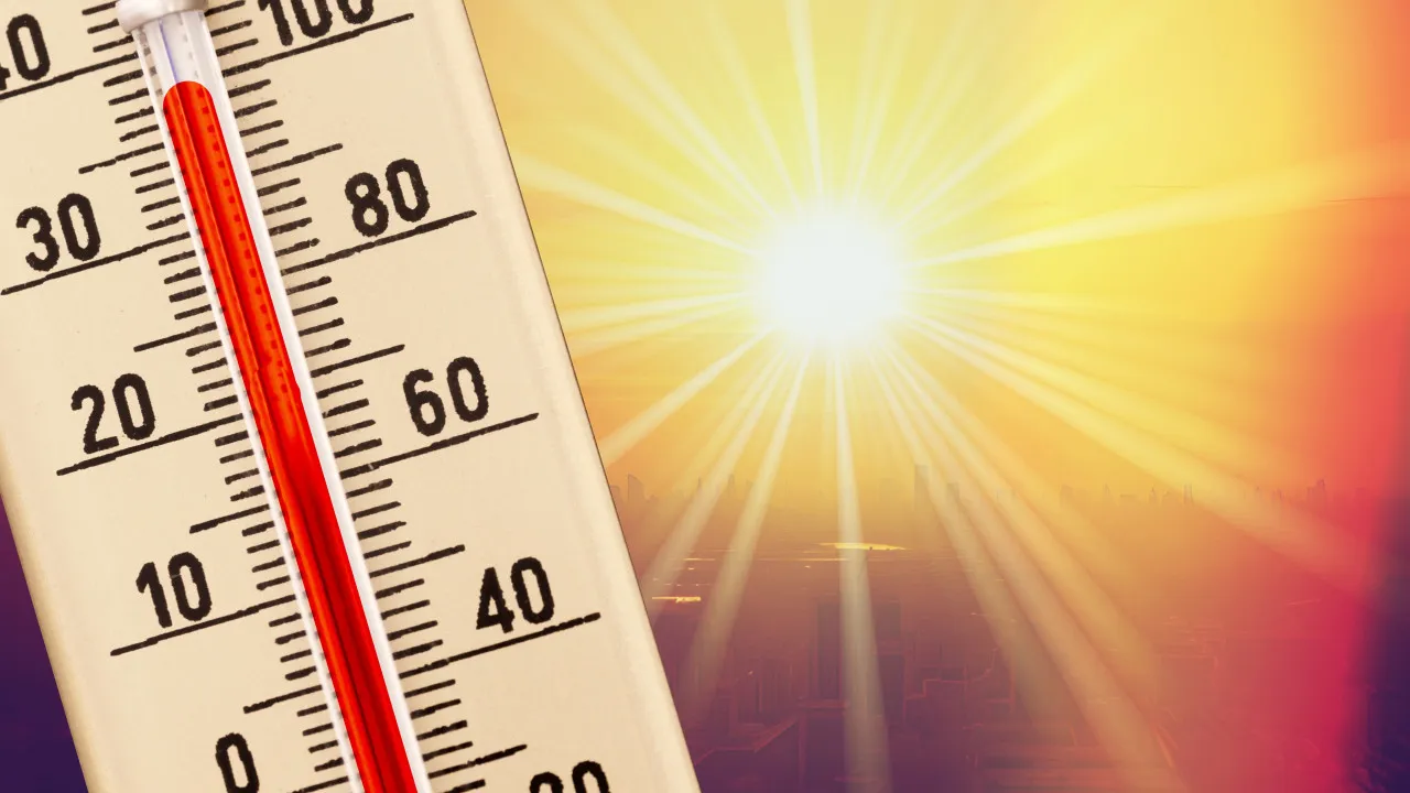 Heat came in full force: 5 tips (wallet-friendly) for a cool house