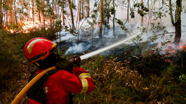Proteção Civil: Combate ao fogo de Castelo Branco decorre favoravelmente