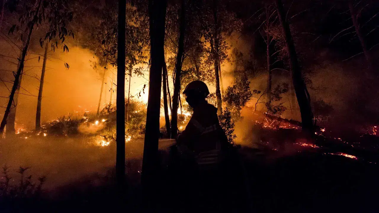 More than 60 municipalities at maximum risk of rural fire