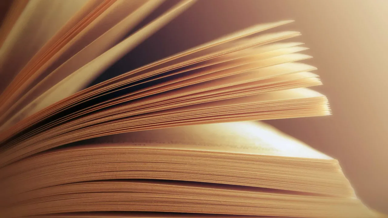 Nelson de Matos. APEL evokes "an unavoidable figure of publishing in Portugal"