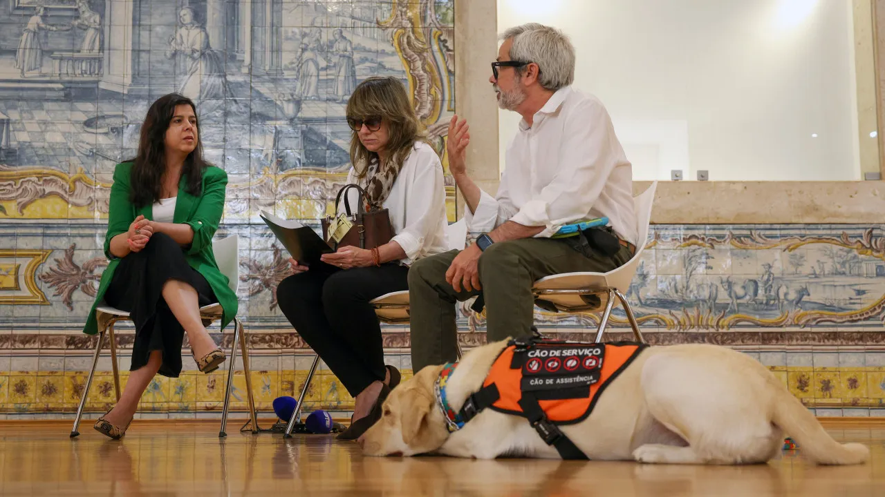 PAN wants to ban the transport of pets in the cargo hold of planes