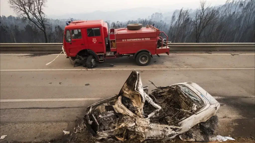Pedrógão Grande. Guilt died single in an "eternally flammable" country