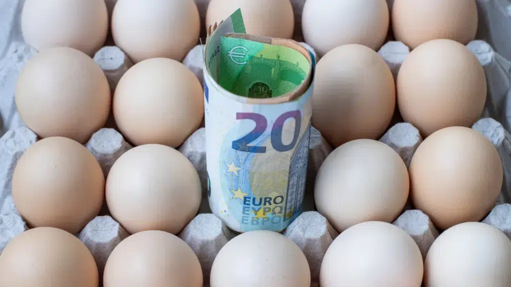 Price of half a dozen eggs has already skyrocketed 28% since January: Why?