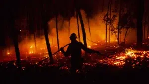 PS considers the lack of air resources in Baixo Alentejo unacceptable.