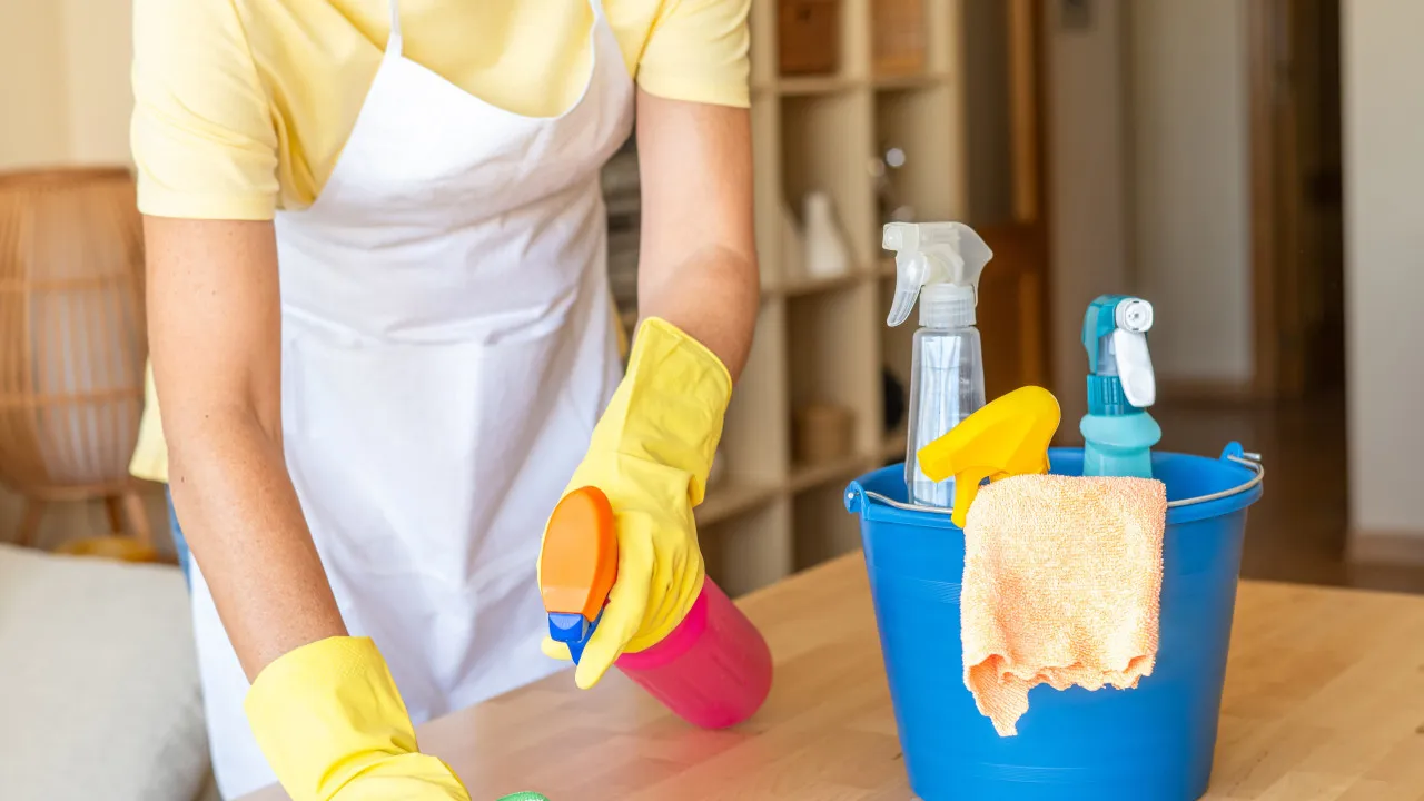 Salaries, rest and vacation: ACT launches guide on domestic work