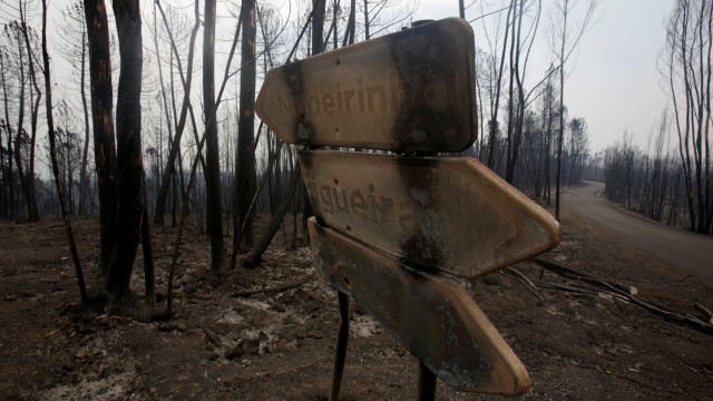 "Strict compliance with duties" would have avoided casualties in Pedrógão Grande.