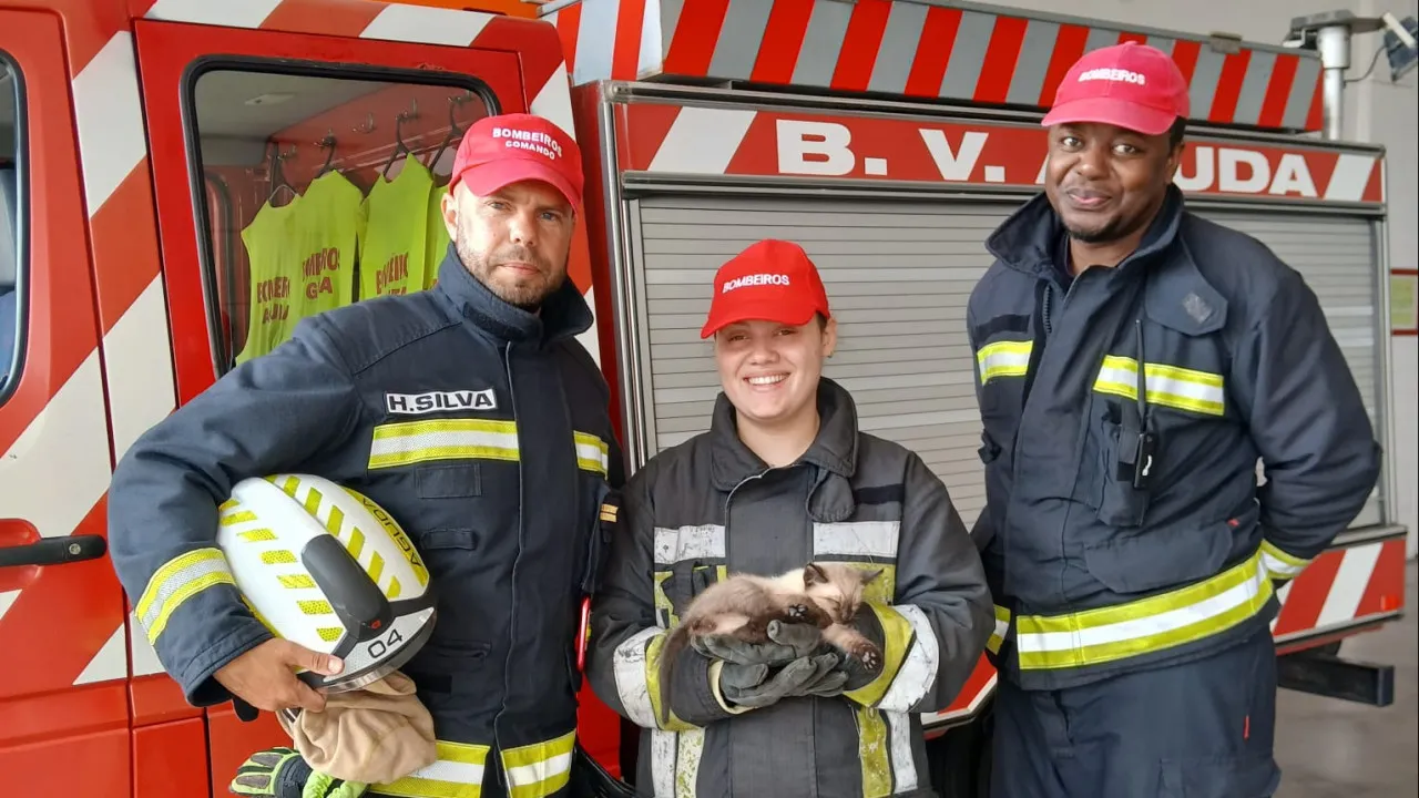 "Thank you, this is saving lives." Aguda firefighters rescue cat