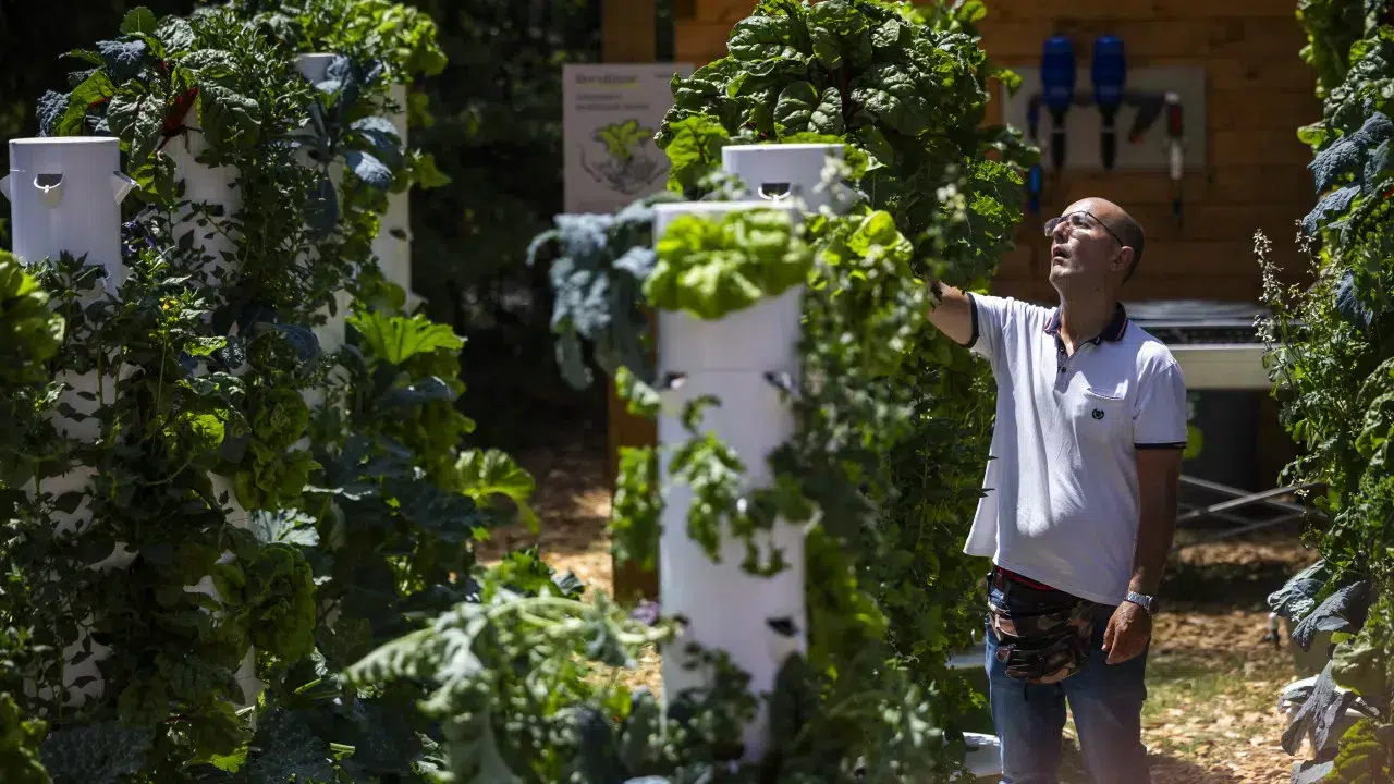 Vertical garden aims to reintegrate people with mental disorders.