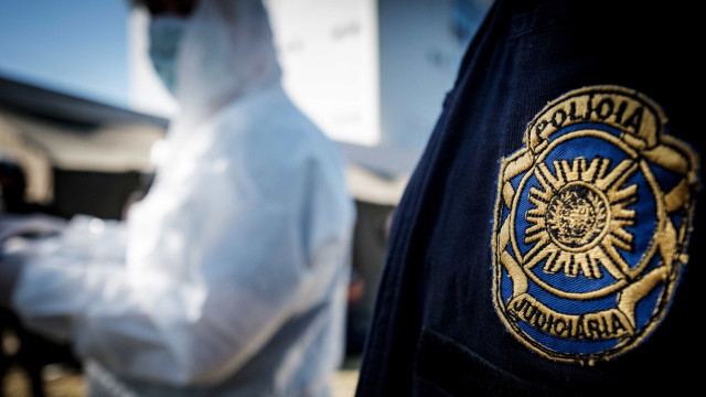 5 employees from the ports of Setúbal and Sines arrested for corruption