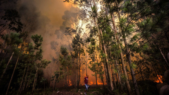 Mais de 100 concelhos de 12 distritos em risco máximo de incêndio
