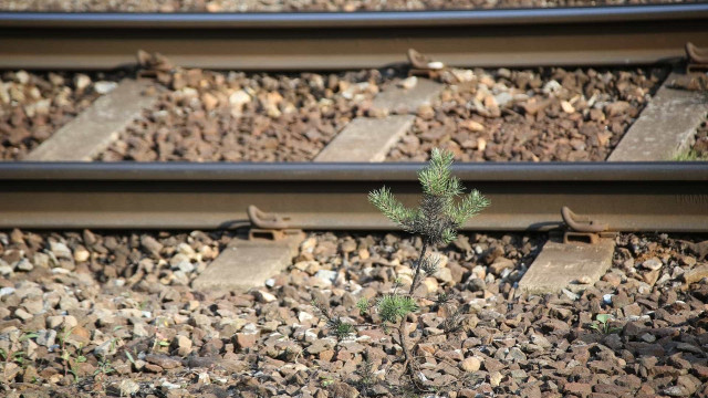 IMT recommends a system for the safe disembarkation of passengers in railways