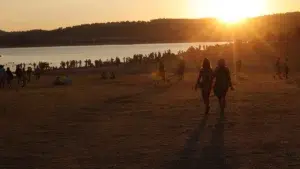 Boom Festival had the presence of 824 artists and 37,286 people.