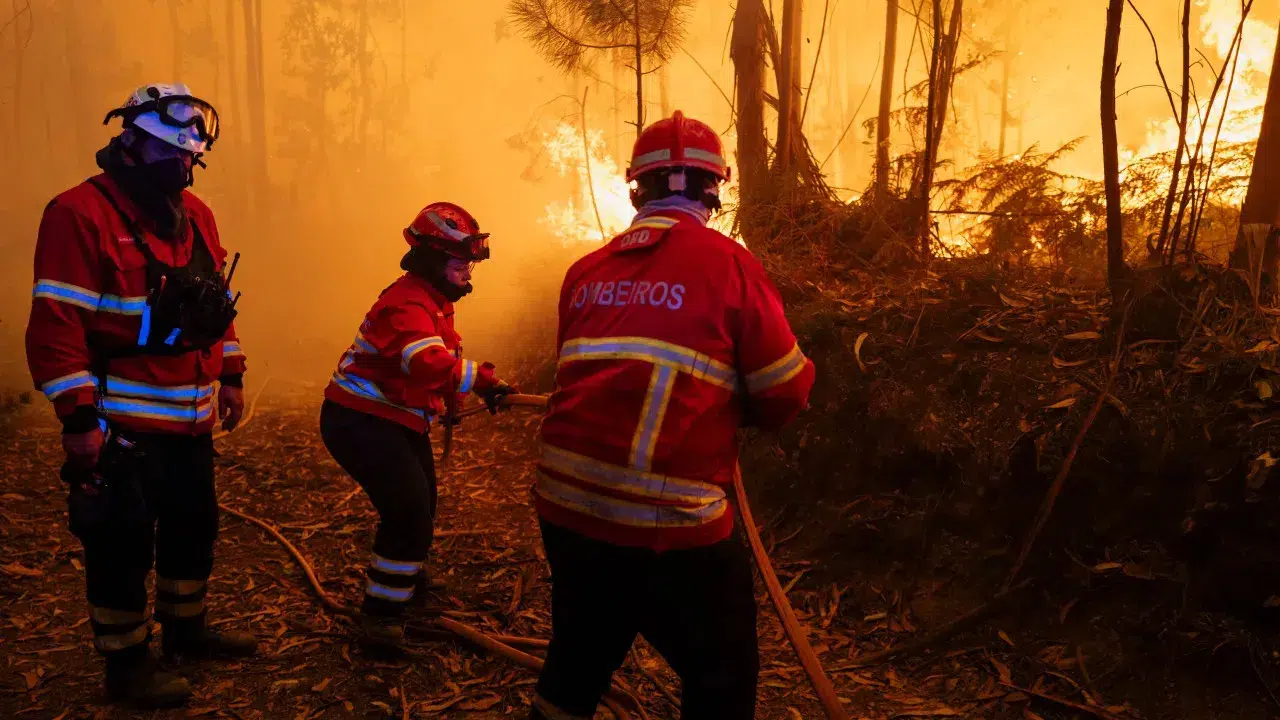 Bushfire in Idanha-a-Nova concluded