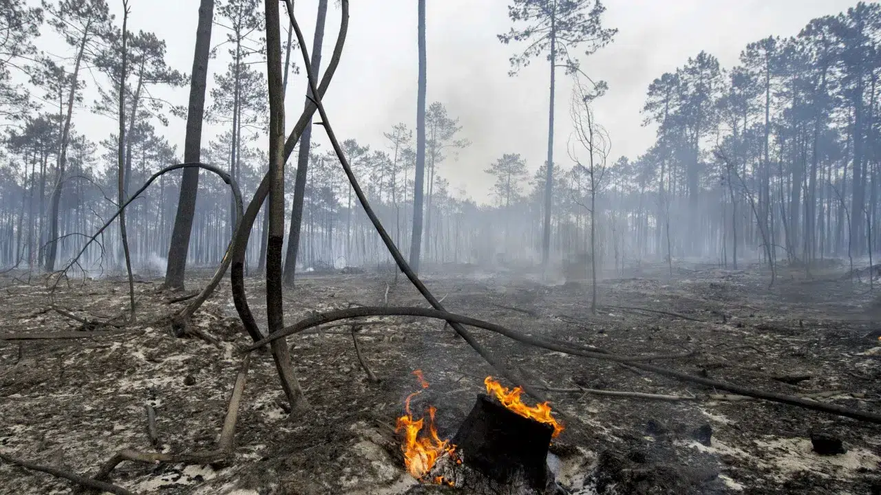 Fire in Sabrosa "may be under control." There are no longer any populations at risk.