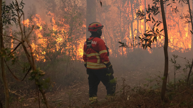 Fires? Burned area (this year) nearly tripled compared to 2024
