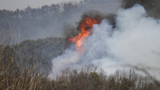 Saw smoke or fire? What to do in case of a forest fire
