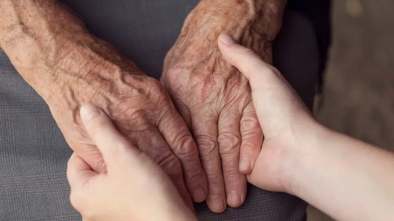 Government approves Bill on the Statute of the Elderly
