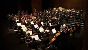 Lisbon Metropolitan Orchestra needs a room for "growing audience"