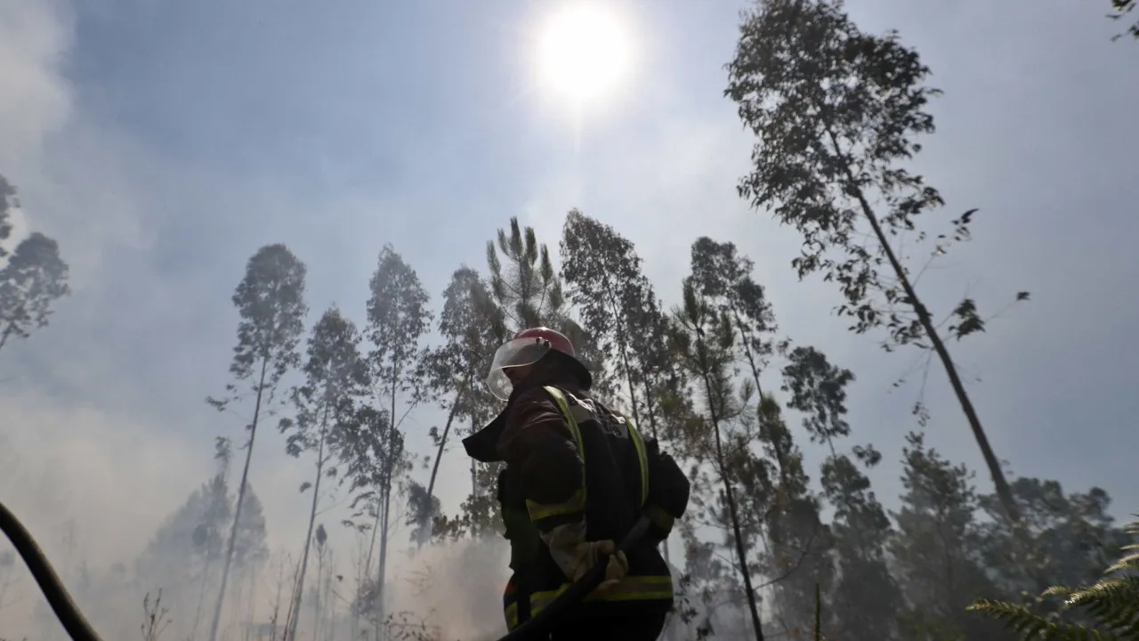 More than 100 operatives fight fire in Ponte de Lima