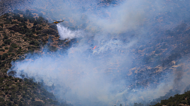 Incêndios? Complementaridade entre meios aéreos e terrestres é a chave
