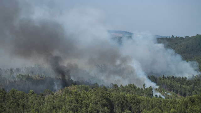 Mais de 50 concelhos de nove distritos em perigo máximo de incêndio