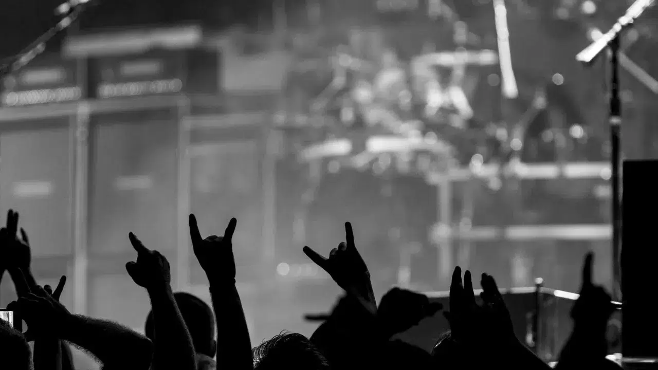 Rock NO Rio Febras went from a local party to a route for national festivals