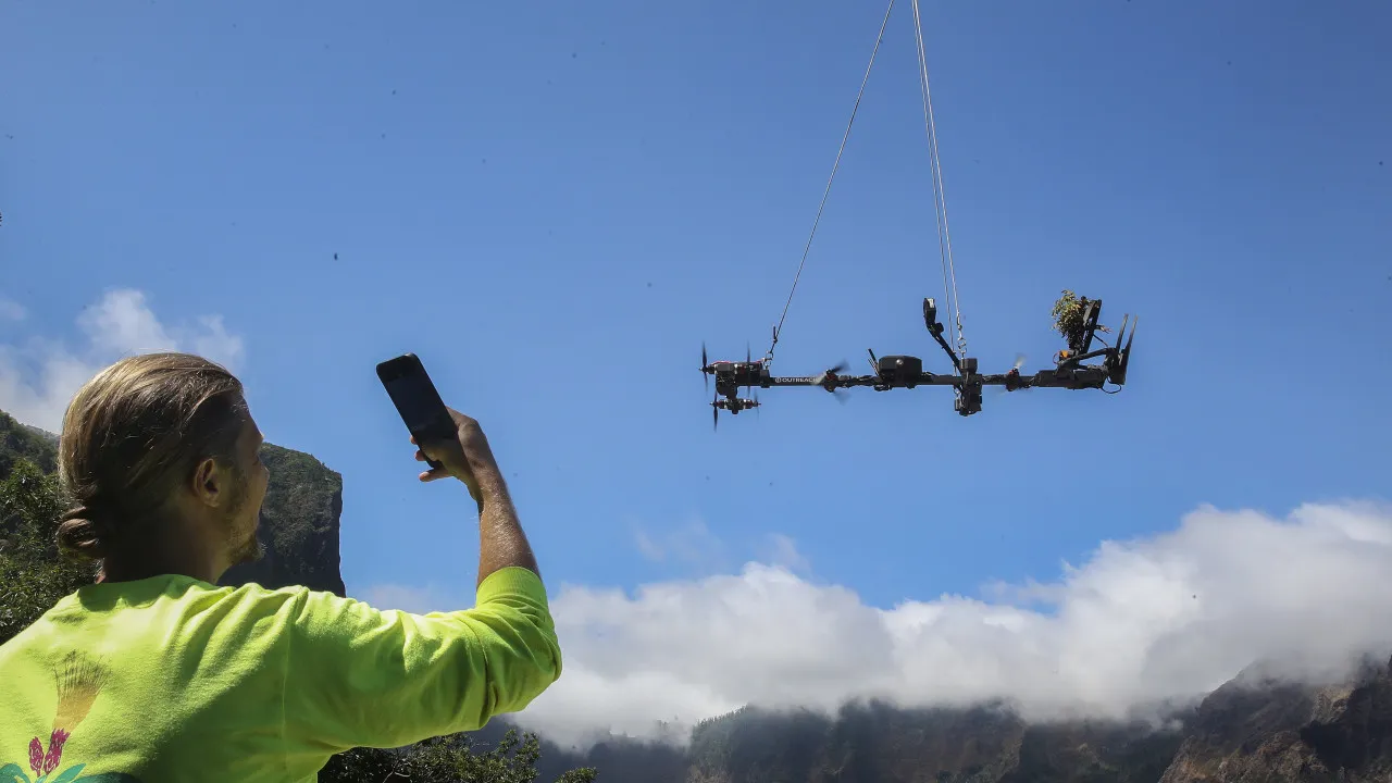 The difficult drone flights that collected rare species on the cliffs of Madeira